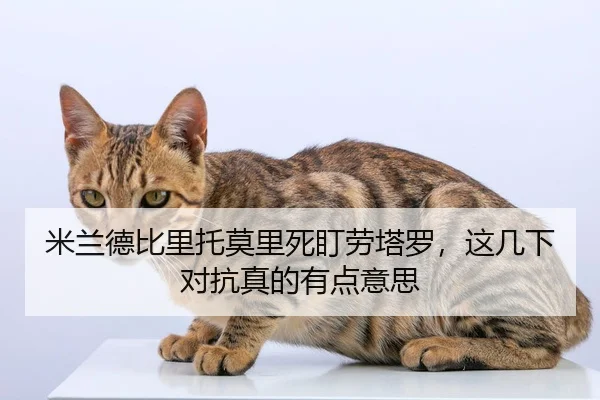 mi-lan-de-bi-li-tuo-mo-li-si-ding-lao-ta-luo-zhe-ji-xia-dui-kang-zhen-de-you-dian-yi-si-2-842.jpg